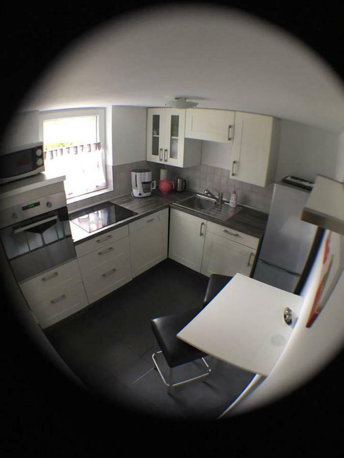 Haus Lindenteichblick Daire Atzenhausen Dış mekan fotoğraf